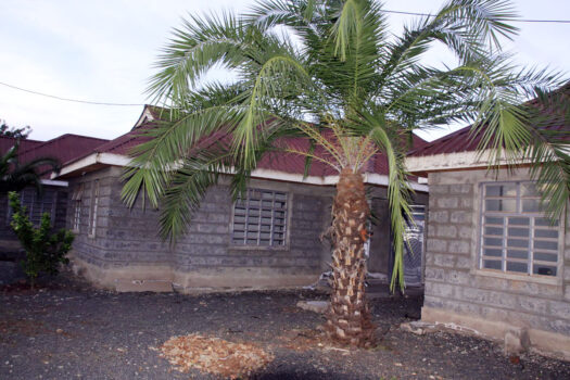 3 Bedroom Bungalows for Sale