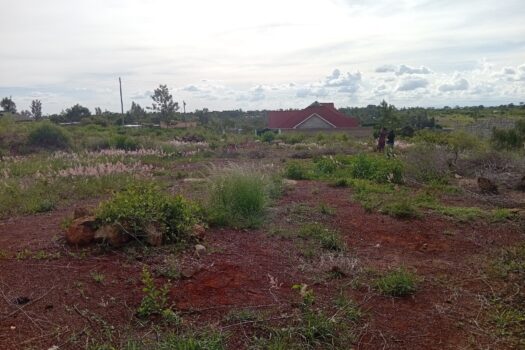 Prime plot at Thika Gatuanyaga – 40*80