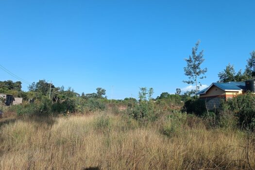 40 by 80 Plots at Tosha, Gatuanyaga