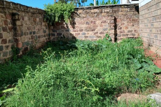 3 BEDROOM OWN COMPOUND AVAILABLE FOR RENT ALONG THIKA -GARISA ROAD